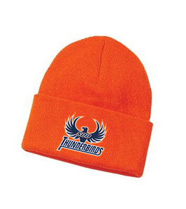 Soo Thunderbirds Knit Cuff Toque