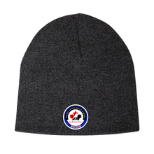 Load image into Gallery viewer, HSCDSB Hockey Skills Academy Knit Skull Cap